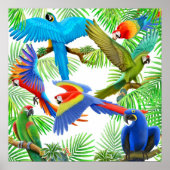 Macaw Jungle Poster (Vorne)