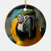 Macaw Keramik Ornament (Vorne)
