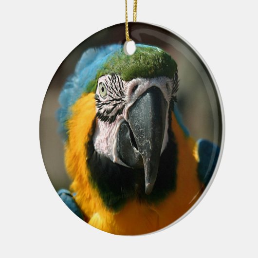 Macaw Keramik Ornament (Links)