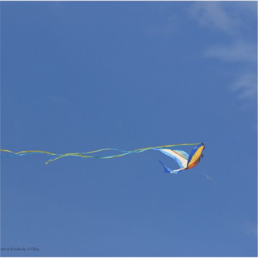 Macaw Kite Aufkleber (Vorderseite)