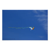 Macaw Kite Fotodruck (Vorne)