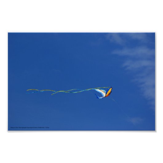 Macaw Kite Fotodruck (Vorne)
