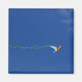 Macaw Kite Magnet (Vorne)