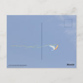 Macaw Kite Postkarte (Rückseite)