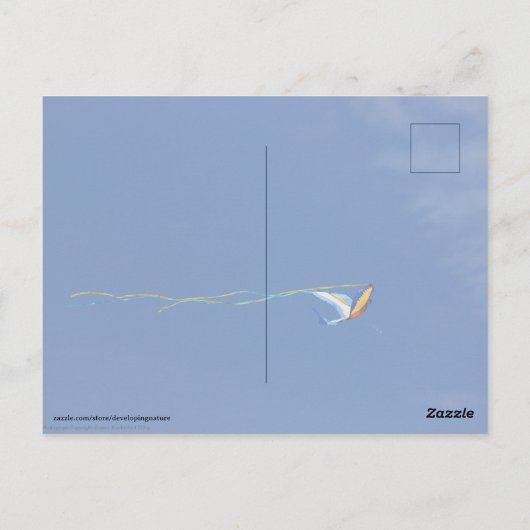 Macaw Kite Postkarte (Rückseite)