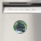 Macaw Magnet (In Situ (Geschirrspüler))