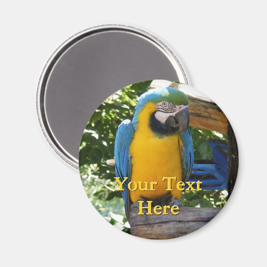 Macaw Magnet (Vorderseite/Rückseite)