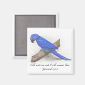 Macaw Magnet (Vorderseite/Rückseite)