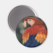 Macaw Magnet (Vorderseite/Rückseite)