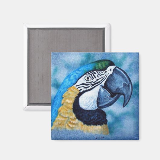Macaw Magnet (Vorderseite/Rückseite)