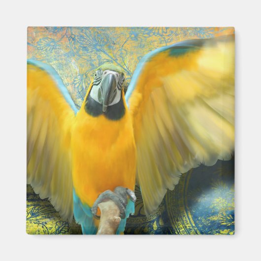Macaw Magnet (Vorne)