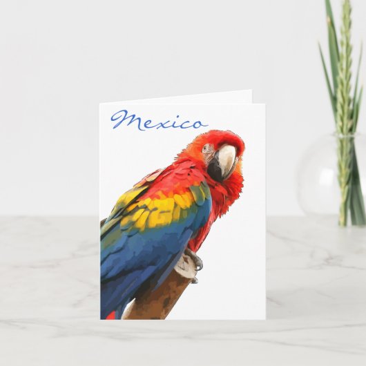 Macaw Mexico Note Card Feiertagskarte (Vorderseite)