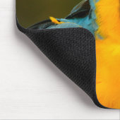 Macaw Mousepad (Ecke)