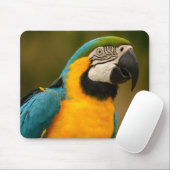 Macaw Mousepad (Mit Mouse)