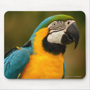 Macaw Mousepad