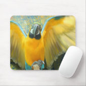 Macaw Mousepad (Mit Mouse)