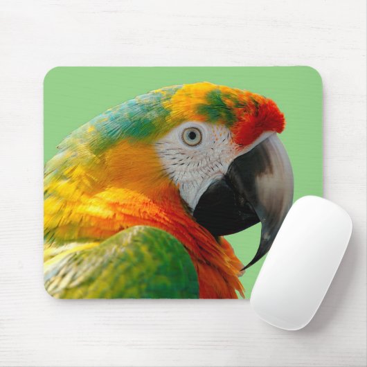 Macaw Mousepad (Mit Mouse)