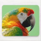 Macaw Mousepad (Vorne)