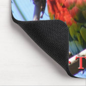 Macaw Mousepad (Ecke)