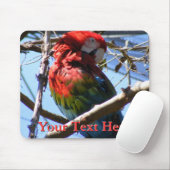 Macaw Mousepad (Mit Mouse)