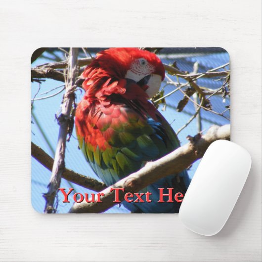 Macaw Mousepad (Mit Mouse)