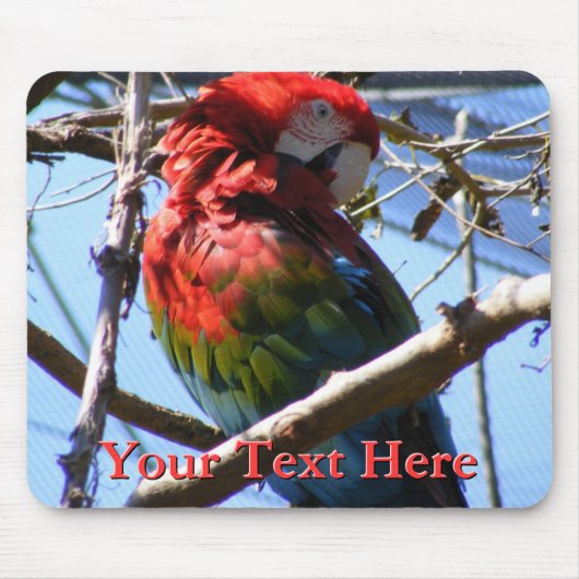 Macaw Mousepad (Vorne)