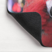 Macaw mousepad (Ecke)