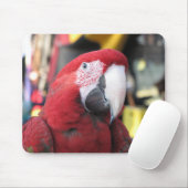 Macaw mousepad (Mit Mouse)