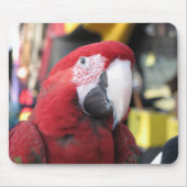 Macaw mousepad (Vorne)
