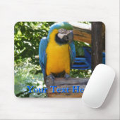 Macaw Mousepad (Mit Mouse)