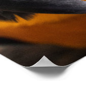 Macaw-Nah-Up-Poster Poster (Ecke)