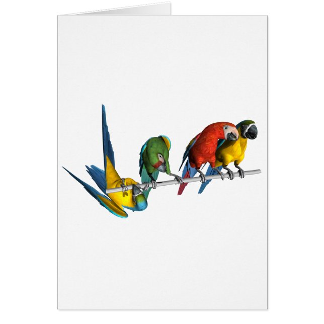 Macaw-Papagei (Vorne)