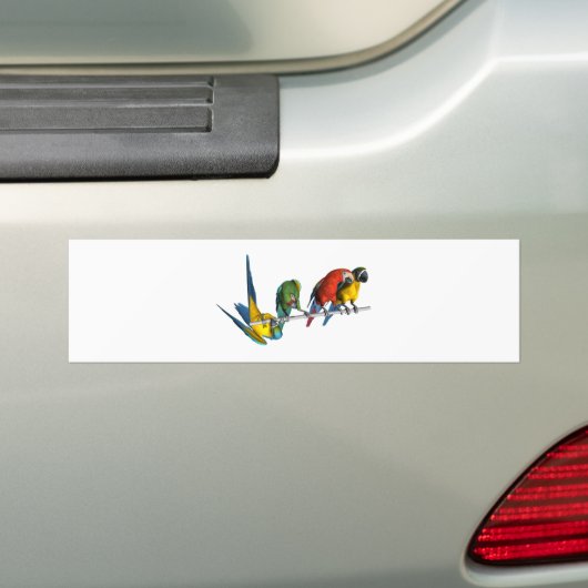 Macaw-Papagei Autoaufkleber (Auf Auto)
