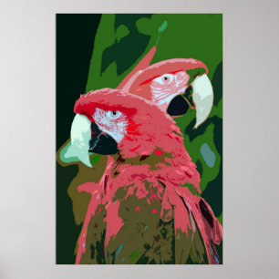 Macaw Papageien abstraktes Plakat
