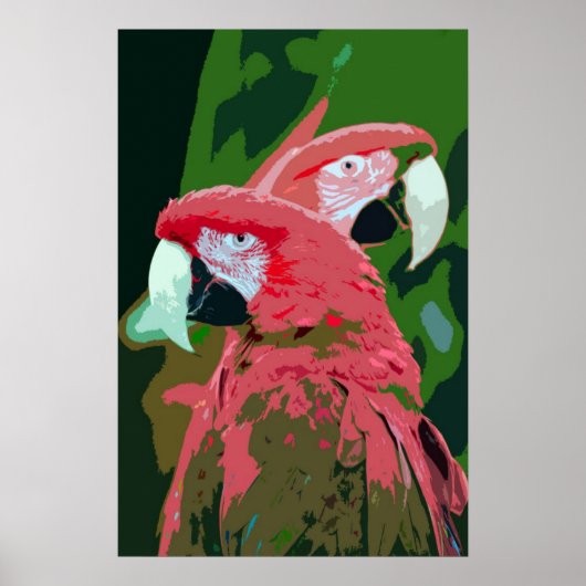 Macaw Papageien abstraktes Plakat (Vorne)