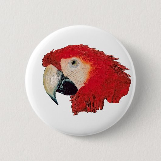Macaw-Papageien-Abzeichen-Button Button (Vorderseite)
