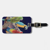 Macaw-Papageien Gepäckanhänger (Vorderseite horizontal)