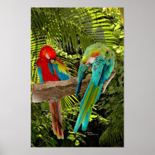 Macaw-Papageien in einem tropischen Waldplakat Poster
