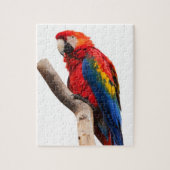 Macaw-Papageien-Puzzlespiel Puzzle (Vertikal)