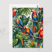 Macaw Papageien tropischen Sommerurlaub Postkarte (Vorne/Hinten)