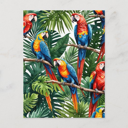 Macaw Papageien tropischen Sommerurlaub Postkarte (Vorderseite)