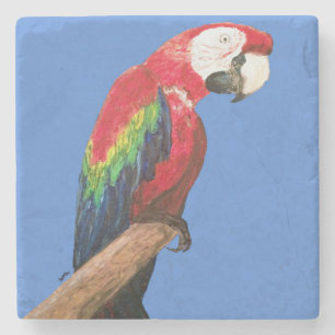 Macaw-Papageien-Untersetzer. Ursprüngliche Kunst Steinuntersetzer