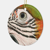 Macaw-Papageien-Verzierungs-Harlekinmacaw-Auge Keramikornament (Links)