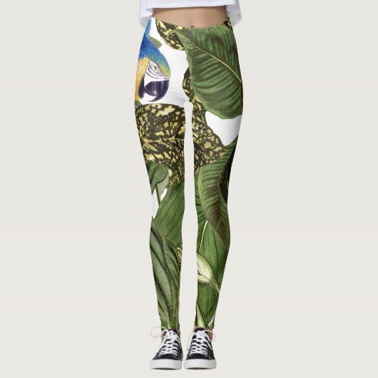 Macaw-Papageien-Vogel ganz über Druck-Leggings Leggings (Vorderseite)