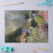 Macaw-Papageien-Vogel-Regen-Waldgewebe-Papier Seidenpapier (Basteln)