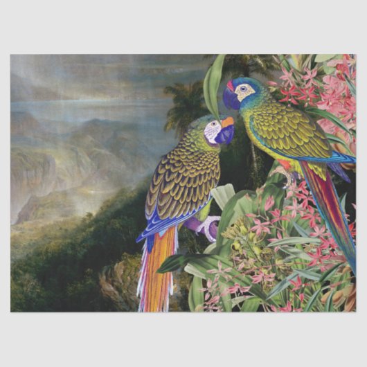 Macaw-Papageien-Vogel-Regen-Waldgewebe-Papier Seidenpapier (Vorderseite)