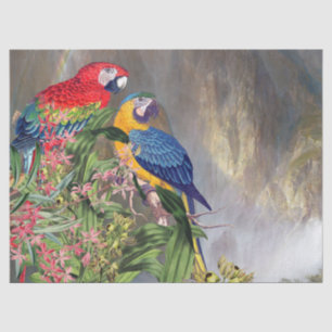 Macaw-Papageien-Vogel-Regen-Waldgewebe-Papier Seidenpapier
