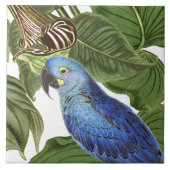 Macaw-Papageien-Vogel-Tier-Tier verlässt Fliese (Vorderseite)