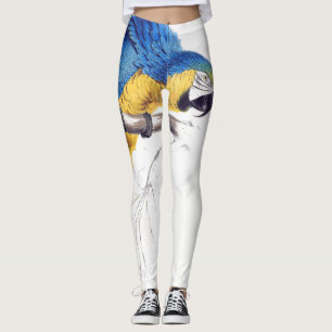 Macaw-Papageien-Vogel-wild lebende Tiere ganz übe Leggings