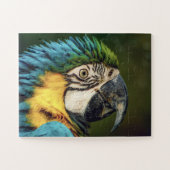 Macaw Parrot Bird Animal Puzzle (Horizontal)